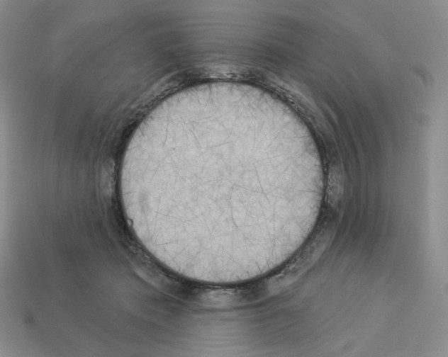 X0000112890413200910021418