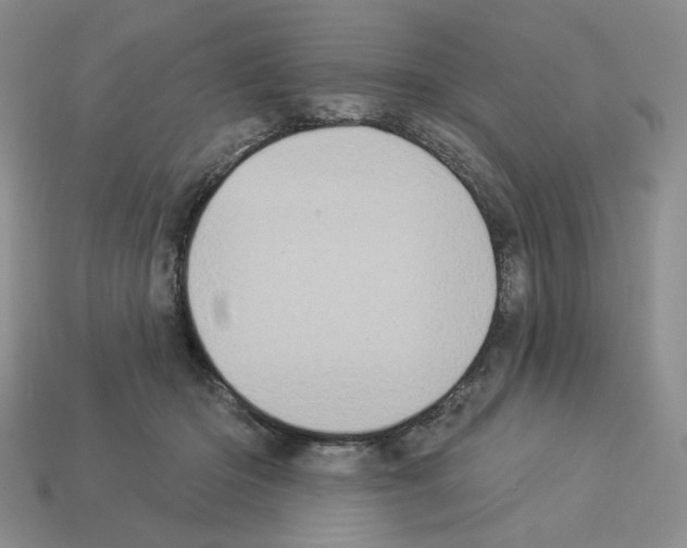 X0000112890414200910021418