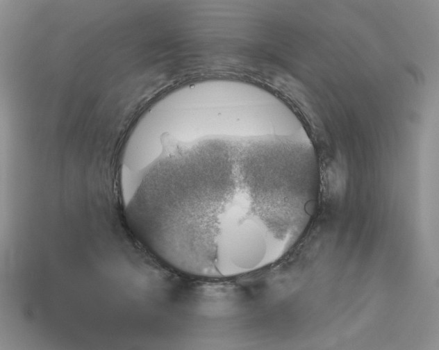 X0000112890415200910021418