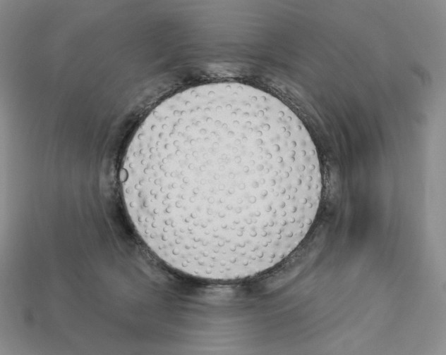 X0000112890418200910021418