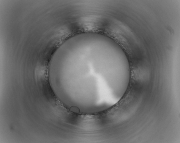 X0000112890419200910021418
