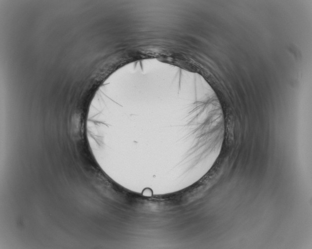 X0000112890420200910021418