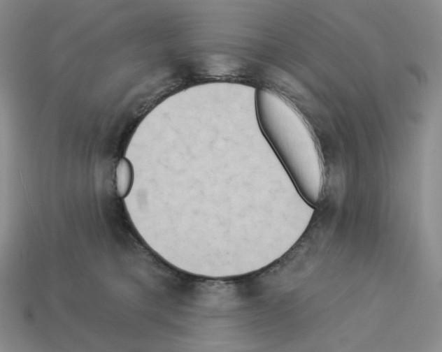 X0000112890421200910021418