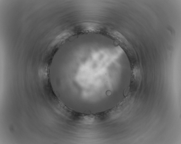 X0000112890423200910021418
