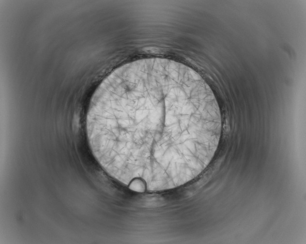 X0000112890424200910021418
