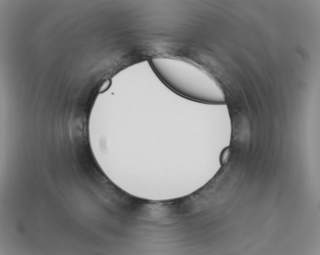 X0000112890425200910021418