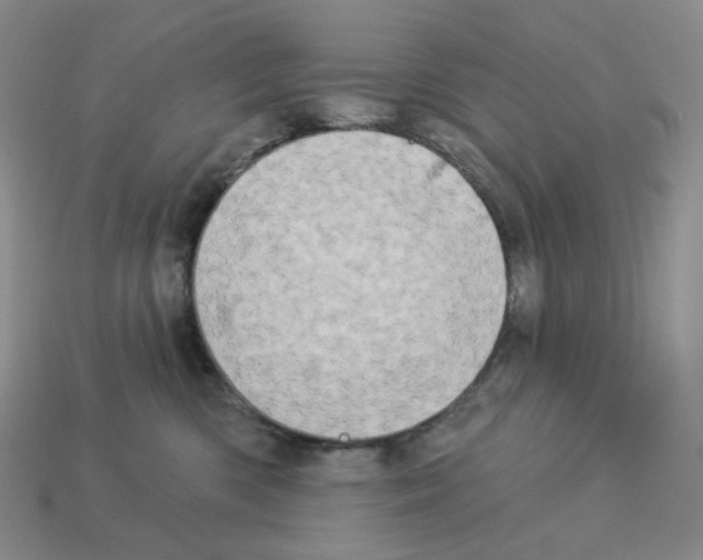 X0000112890426200910021418