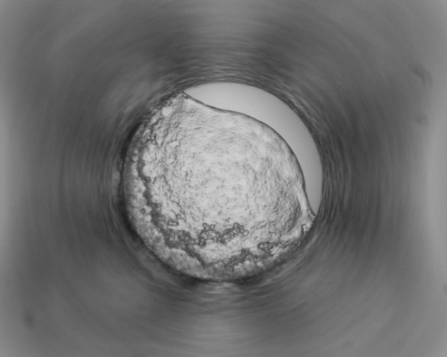 X0000112890427200910021418