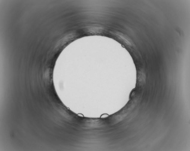 X0000112890428200910021418