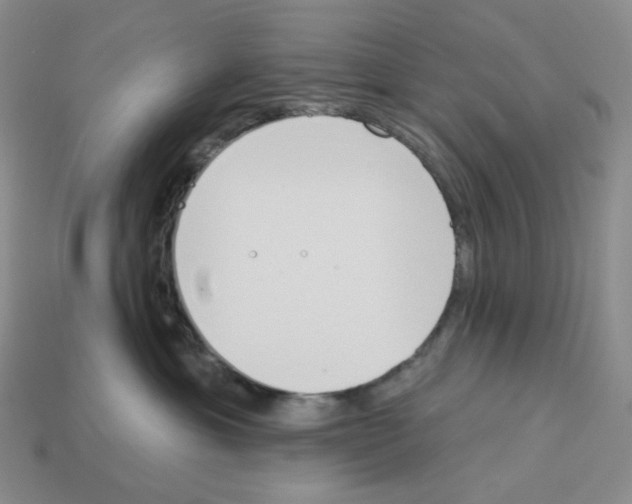 X0000112890429200910021418