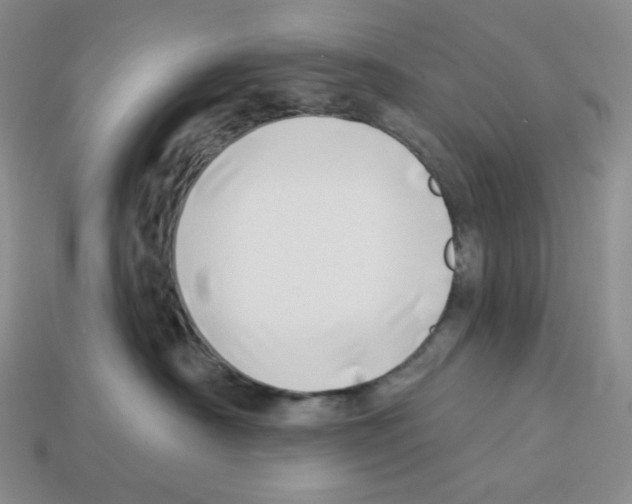 X0000112890430200910021418