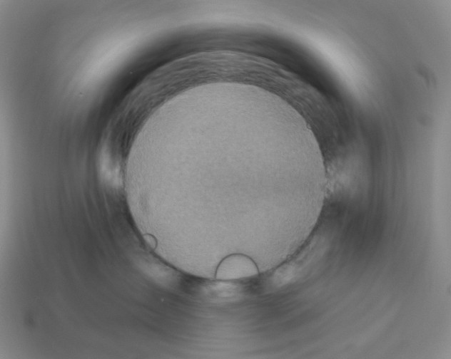 X0000112890431200910021418