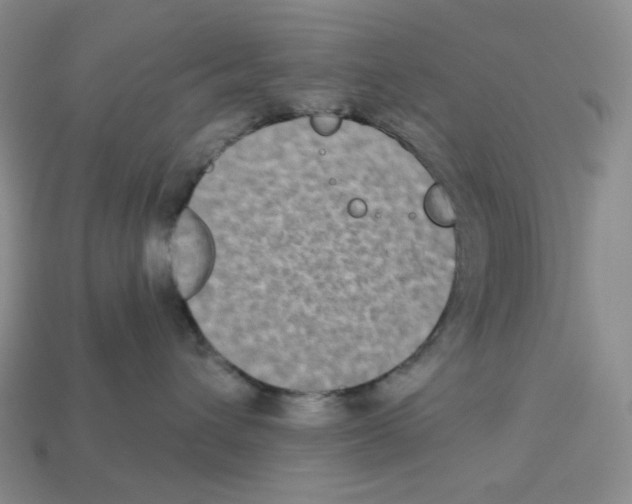 X0000112890432200910021418