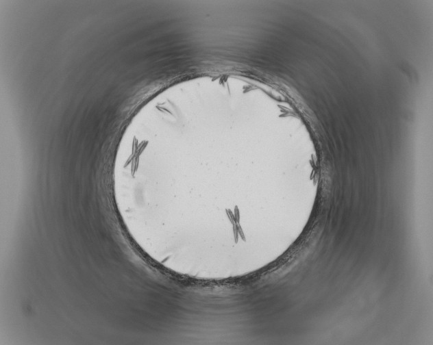X0000112890433200910021417