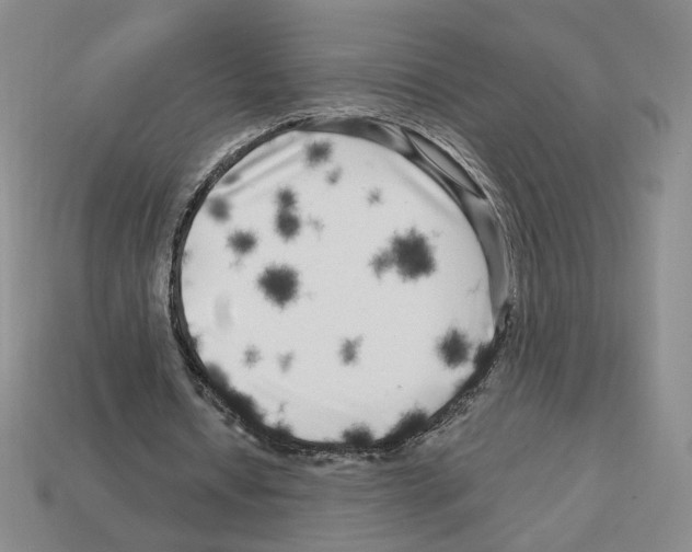 X0000112890434200910021417