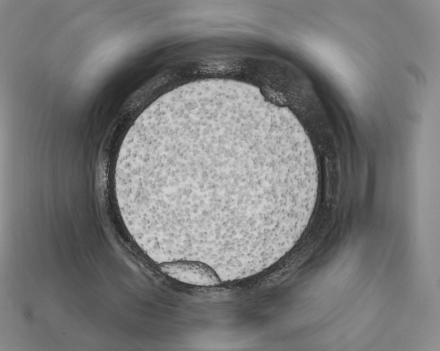 X0000112890435200910021417