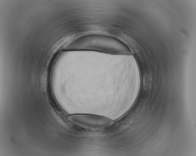 X0000112890436200910021417