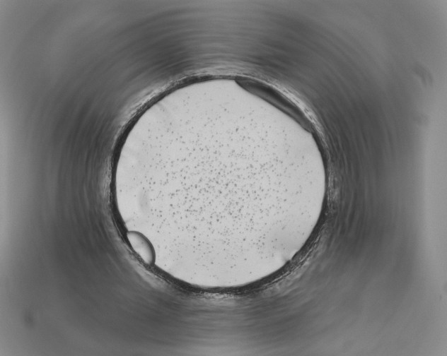 X0000112890437200910021417