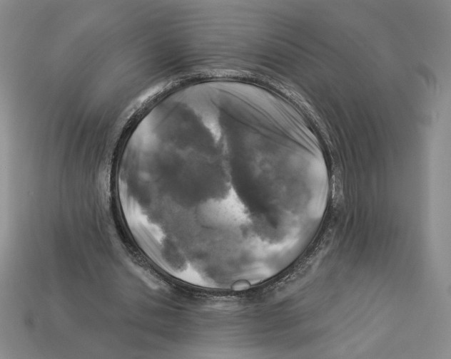 X0000112890438200910021417