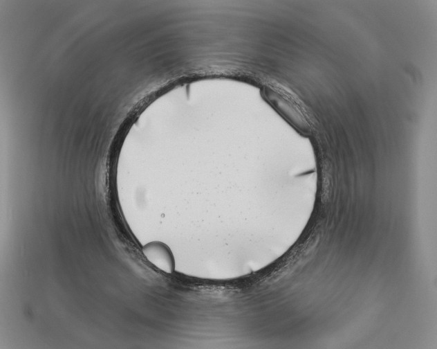 X0000112890439200910021417
