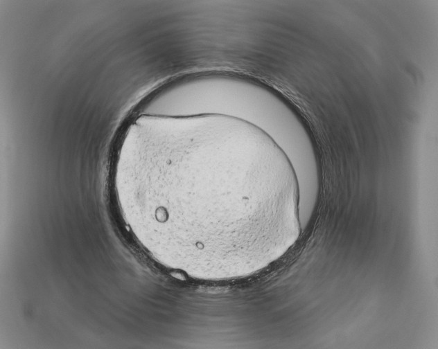 X0000112890440200910021417