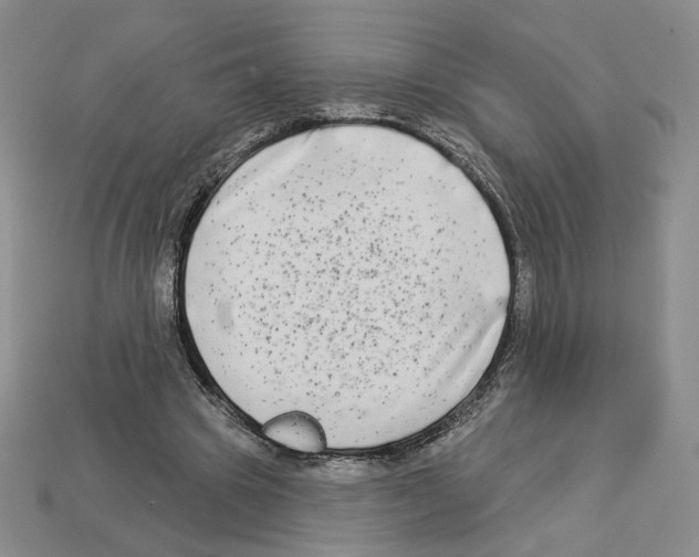 X0000112890441200910021417