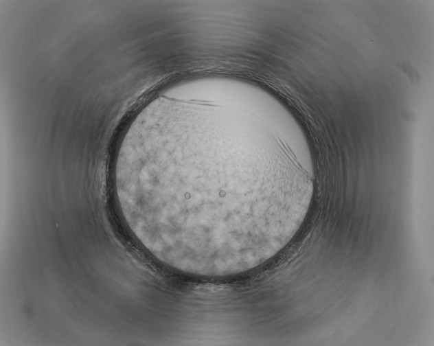 X0000112890444200910021417