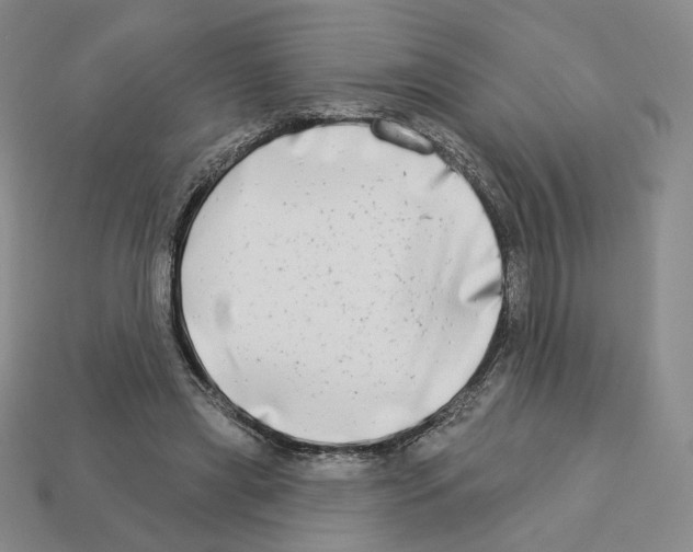 X0000112890445200910021417
