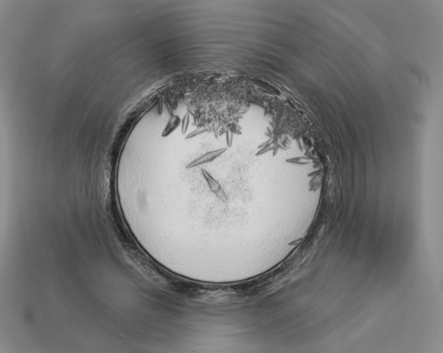 X0000112890446200910021418