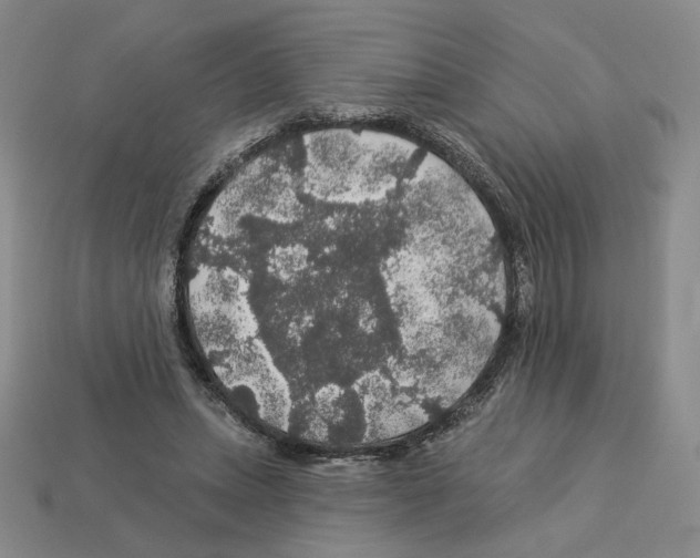 X0000112890447200910021418