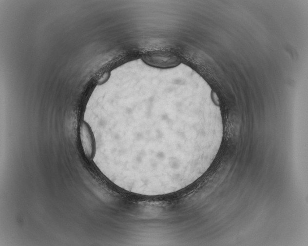 X0000112890448200910021418