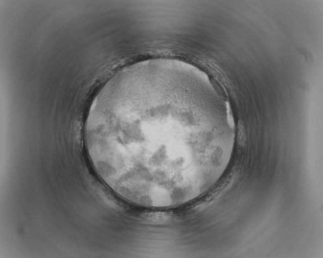 X0000112890449200910021418