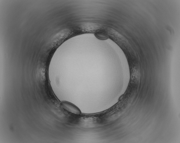 X0000112890452200910021418