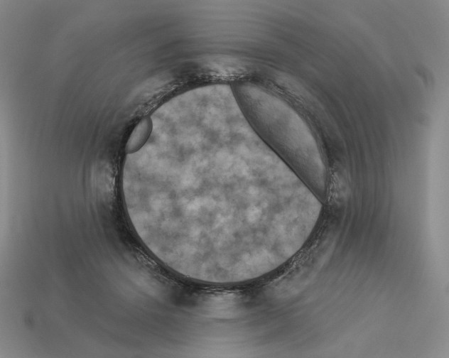 X0000112890456200910021418
