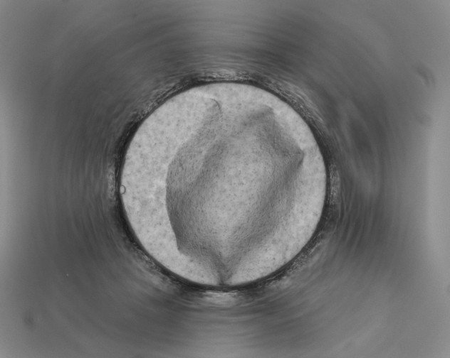 X0000112890457200910021418
