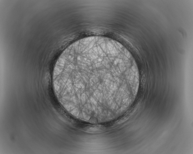 X0000112890459200910021418