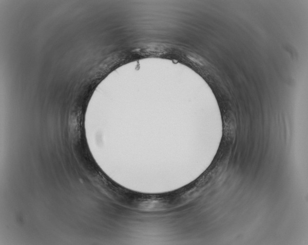 X0000112890460200910021418