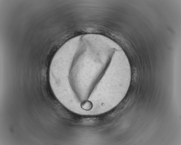 X0000112890461200910021418