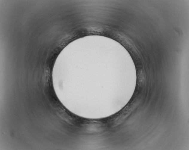 X0000112890463200910021418