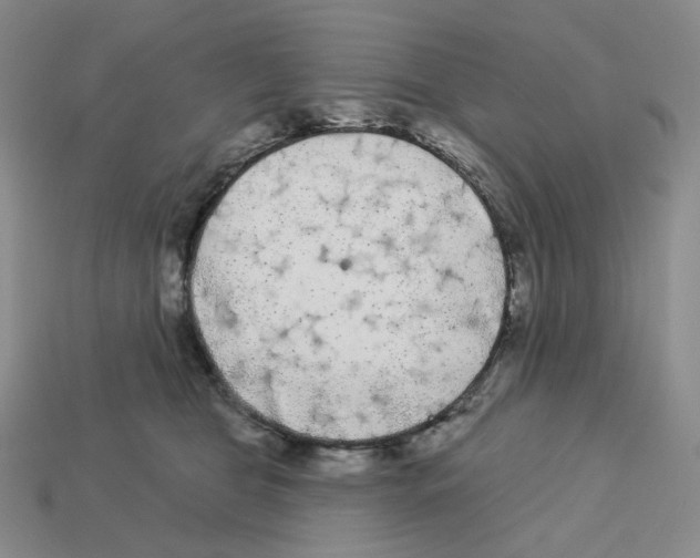 X0000112890469200910021418