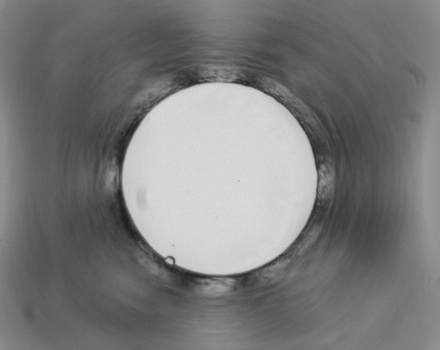 X0000112890474200910021418