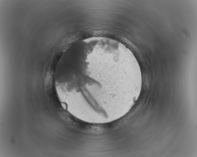 X0000112890475200910021418