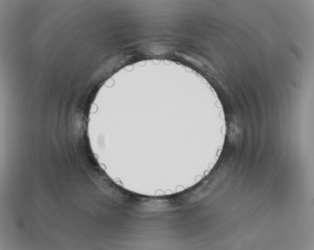 X0000112890476200910021418