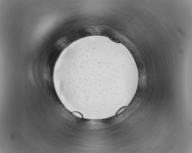X0000112890477200910021418