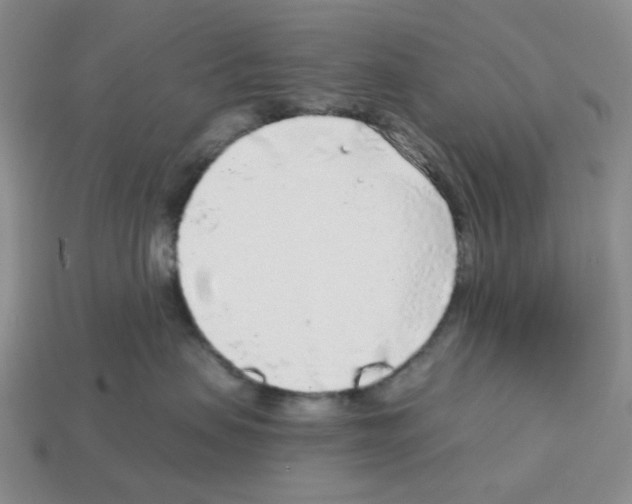 X0000112890479200910021418
