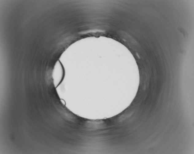 X0000112890480200910021418