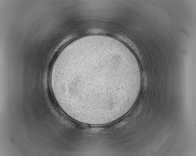 X0000112890482200910021417