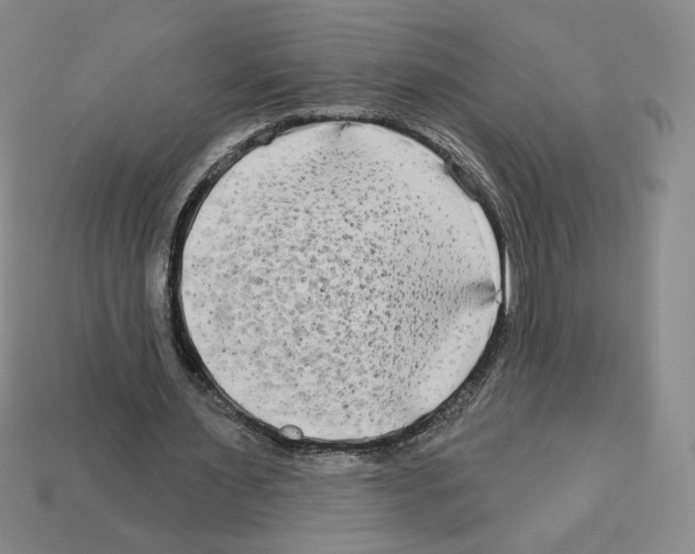 X0000112890483200910021417