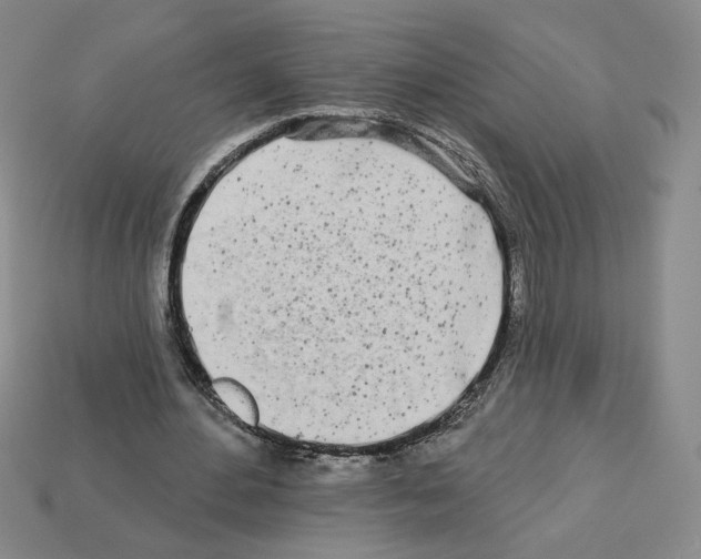 X0000112890484200910021417
