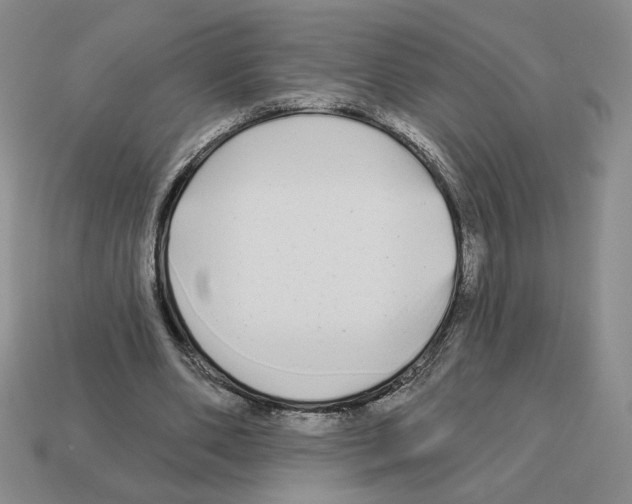 X0000112890486200910021417